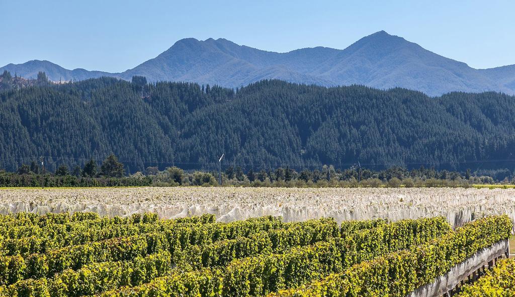 Straw Lodge Vineyard And Boutique Lodging Renwick Bagian luar foto